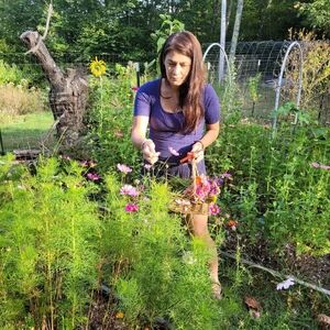 Meet your Posher, Noelle